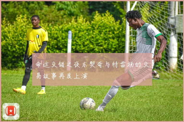 命运交错之夜东契奇与特雷杨的交易故事再度上演